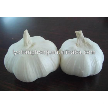 China cheap garlic for kitchen/white garlic for wholesale